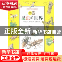 正版 图解昆虫的世界 金南吉文 漓江出版社 9787540766016 书籍