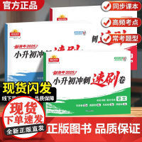 2025阳光同学小升初冲刺速刷卷4轮冲刺小升初总复习分类试卷小升初真题新卷语文数学英语名校冲刺历年真题试卷六年级小升初总