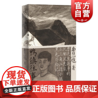 鸭镇往事 曹寇原创文学书返乡忧郁沉思录长三角江边小镇黑色历险记上海文艺出版社小说集另著金链汉子之歌/十七年表/随笔集生活