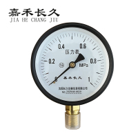 嘉禾长久 压力表检测型 Y100 块