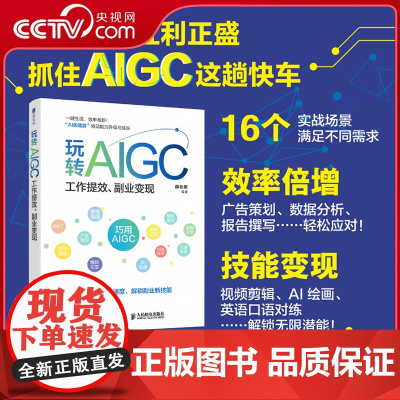 [央视网]玩转AIGC 工作提效 副业变现RD薛老板 aigc教程书籍DeepSeek实战指南AI写作AI数据分析AI短