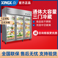 星星(XINGX)厨房冰箱商用三门展示柜全冷藏冰柜商用立式不锈钢餐饮店后厨BC-1480Y