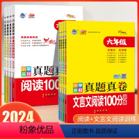 全套2本 小学五年级 [正版]2024小学名校真题真卷阅读100分训练文言文阅读100分训练一二三四五六年级阅读真题训练