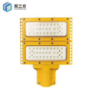 照立方 CHAOLEEFONG 路灯 100w 个
