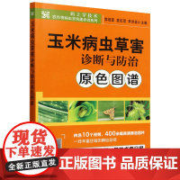 玉米病虫草害诊断与防治原色图谱 郭线茹 袁虹霞 李洪连 编 9787109325357 中国农业出版社