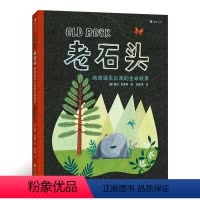 老石头 [正版]老石头:地球诞生以来的生命故事 5-8岁科普绘本图画书 探索地球历史与生命意义 地球历史哲学启蒙 浪花朵