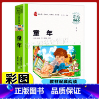 [正版]童年高尔基原著小学生一二三年级上册下册学期阅读课外书必书籍经典书目 儿童文学故事快乐读书吧彩绘注音版老师