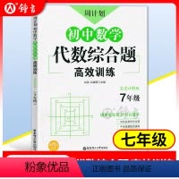 [正版]新版 周计划 初中数学代数综合题高效训练 七年级/7年级 答案详解版 中考真题提前演练 创新思维题型 华东理工
