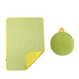 抱枕被两用抱枕毯子二合一车载抱枕车用被子两用空调被夏被薄被子