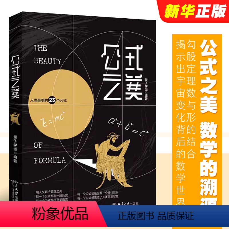 [正版]公式之美 数学的溯源 勾股定理数与形的结合 北京大学出版社 量子学派 薛定谔方程猫与量子世界揭示出宇宙变化背后