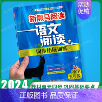 阅读同步拓展训练B版 小学五年级 [正版]2024年五年级 现代文+古诗文课外阅读训练小学5年级上册下册全一册 语文文言