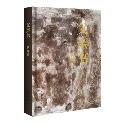 正版新书]父亲书耿翔9787530688021