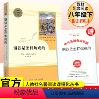 [正版]钢铁是怎样炼成的人民教育出版社八年级下册 初中8年级学生文学经典名著阅读
