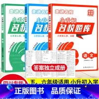 语数英3本 小学升初中 [正版]2024四川小升初名校题库语文数学英语人教版五六年级小升初走进名校招生入学分班卷四川省各