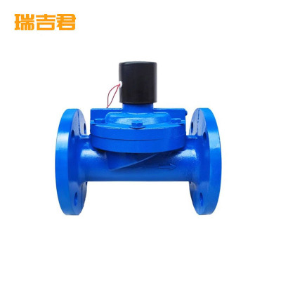 瑞吉君 电磁阀 DN100 个