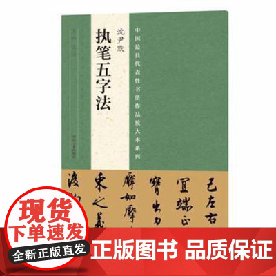 正版 中国代表性书法作品放大本系列 沈尹默《执笔五字法》 张海 河南美术