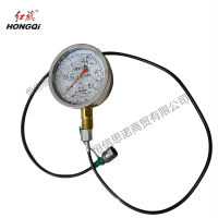 红旗 耐震压力表YTN100 压力值需备注(含2米测试软管) 块