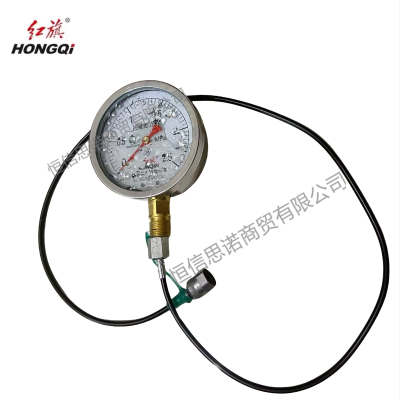 红旗 耐震压力表YTN100 压力值需备注(含2米测试软管) 块