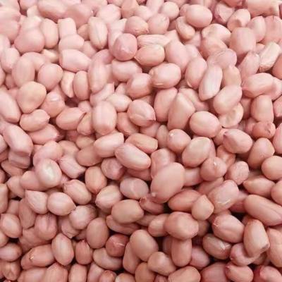 新花生米-2020季新鲜生花生米白沙花生仁去壳生花生农产特产