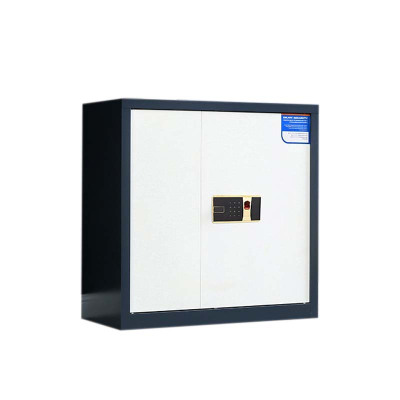 风雷动保密柜财务档案柜文件柜办公室资料储物柜保险柜电子密码国保锁矮柜灰白-指纹密码锁