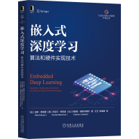 音像嵌入式深度学习:算法和硬件实现技术
