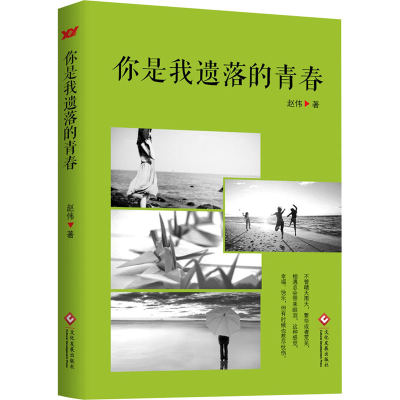 正版新书]你是我遗落的青春赵伟 著9787514229363