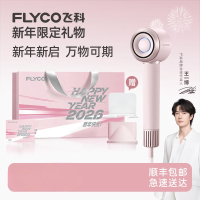 飞科FLYCO电吹风FH6371高速冷热风护发过热保护-25