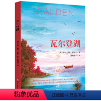 瓦尔登湖 [正版]梭罗文集全4册 瓦尔登湖+缅因森林+心灵漫步科德角+河上一周 自然文学随笔外国文学名家作品7-12岁青