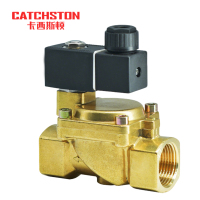 卡西斯顿 水用电磁阀 G2 个