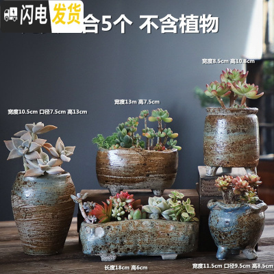 三维工匠多肉花盆老桩陶瓷大号肉肉植物创意简约粗陶个性小花盆 完美组合5个 中等花盆容器