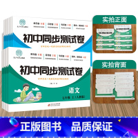语文(人教版) 七年级上 [正版]初中同步测试卷(人教版)初中语数英道法生地历物同步测试卷上册人教版初一初二七八年纪语文