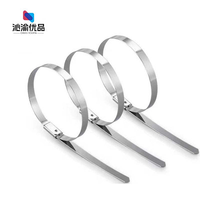 沁渝优品 不锈钢扎带 7.9*2000mm 根