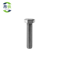 昂铁 不锈钢六角螺栓 M6*20 个