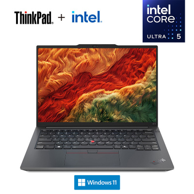 ThinkPad E14 02CD AI 2024 经典商务本 14英寸笔记本电脑 定制 英特尔酷睿Ultra 5 125H 16G 1TB固态 锐炫Arc显卡 高清屏 黑