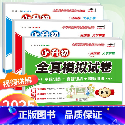全套3本[语文+数学+英语] 小学升初中 [正版]2024培优小升初全真模拟试卷语文数学英语必刷题人教版小学毕业系统总复
