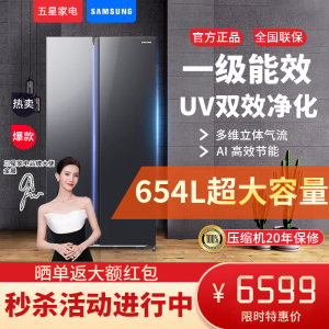 三星(SAMSUNG) RS62DG50B8B1SC 三星AI神冰箱对开门 654升一级能效家用无霜双开门冰箱 浩瀚黑