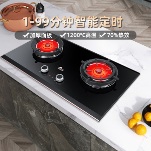 红日(RedSun)燃气灶双灶红外线灶大火力定时灶70%高热效加厚面板聚能灶节能省气不黑锅EM618BP 液化气
