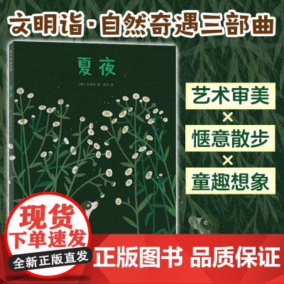 夏夜 文明诣 著 文明诣 编 高艾 译新星出版社 绘本小学生一年级二年级三年级课外书正版寒假暑假阅读