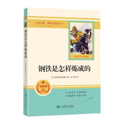 正版新书]钢铁是怎样炼成的 无障碍学生精读版 带册子(苏)奥斯特