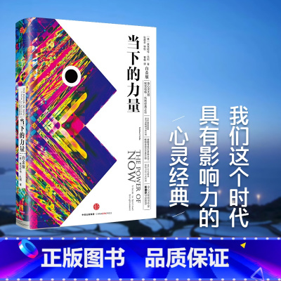 当下的力量(白金版) [正版] 当下的力量(白金版) 精装 埃克哈特·托利 著 身心灵 张德芬作序 出版社图书 自