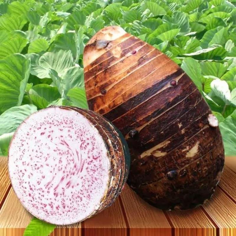 正宗广西荔浦芋头新鲜批发农家新鲜蔬菜现挖现发槟榔紫藤香芋头 3斤大