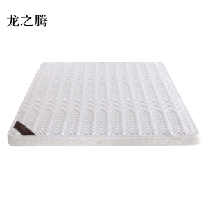 龙之腾椰棕床垫家用棕垫B8cm厚(防螨针织+0胶水天然椰棕)1800mm*2000mm