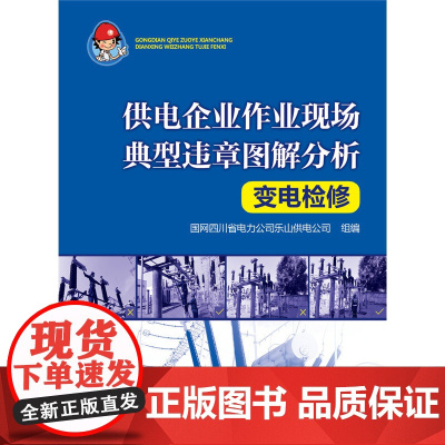 供电企业作业现场典型违章图解分析 变电检修