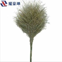 耀豪坤大扫把带叶约6斤 ZGS
