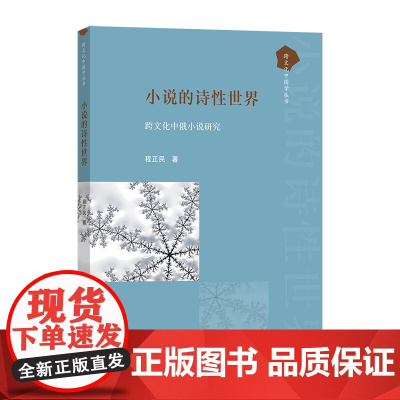 小说的诗性世界;跨文化中俄小说研究 跨文化中国学丛书 程正民 著 商务印书馆
