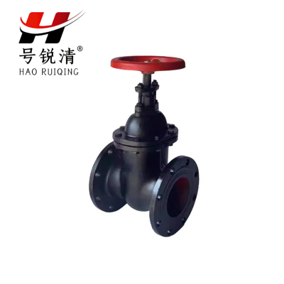 号锐清 铸铁法兰闸阀 DN200 个