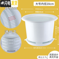 三维工匠君子兰蝴蝶兰专用花盆透气塑料树脂月季控根花盆 内径20cm白色+白托盘 中等花盆容器