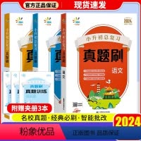 小升初总复习 真题刷[3本 语数英] 小学升初中 [正版]2024版53小升初总复习考前讲练测数学语文英语人教版小学升初