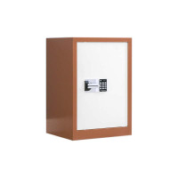 东升顺保密柜财务档案柜文件柜办公室资料储物柜保险柜电子密码国保锁单门咖白-国保密码锁