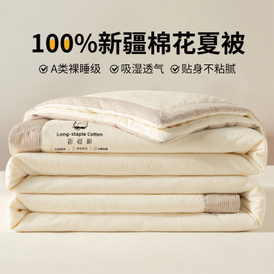 A类新疆全棉棉花夏被子空调被夏凉被纯棉被芯春秋被棉絮可机洗_1